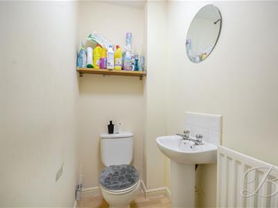 Picture 19